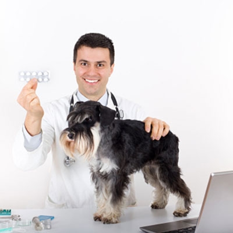 Comprar Remédio de Verme de Cachorro Jaçanã - Remédio de Alergia para Cachorro