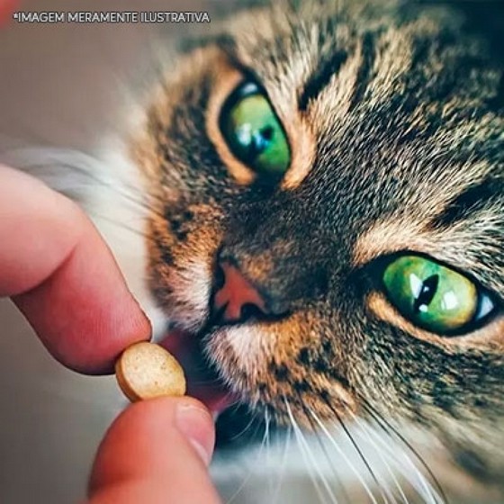Farmácia de Remédio de Gripe para Gato Jockey Club - Remédio de Verme para Gato