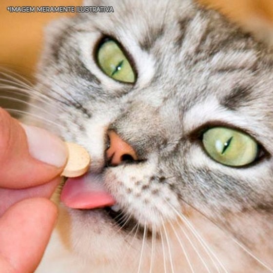 Farmácia de Remédio Verme Gato Perus - Remédios para Gato Gel Antibiótico