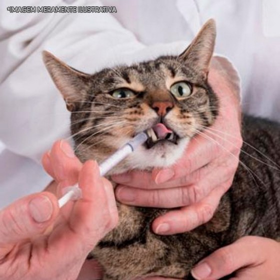 Farmácia de Remédios para Gato Pomada Água Funda - Remédio de Verme para Gato