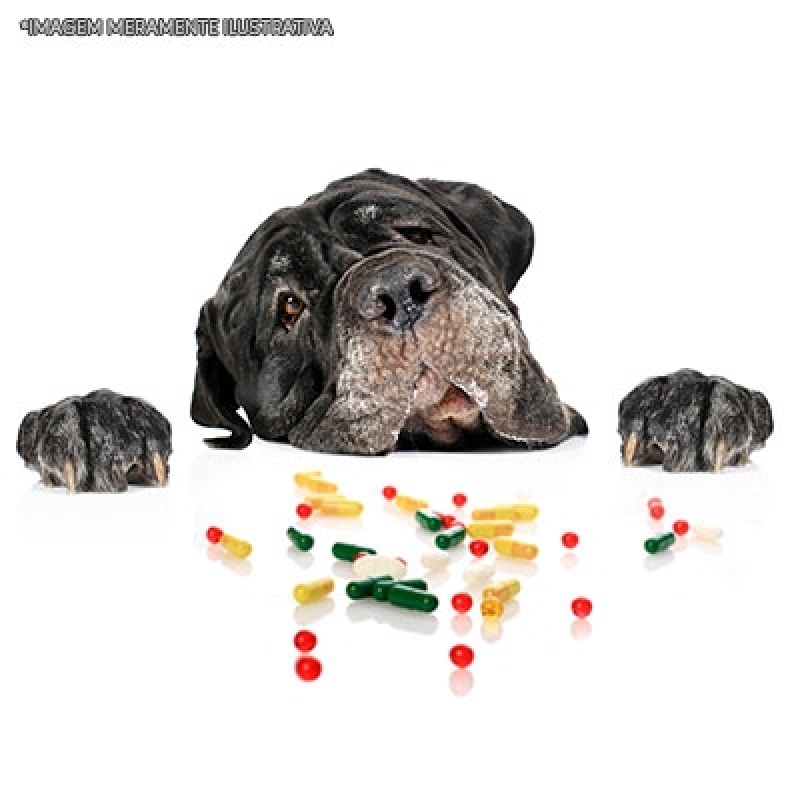 Farmácias de Remédio de Dor para Cachorro Brasilândia - Remédios para Verme de Cachorro