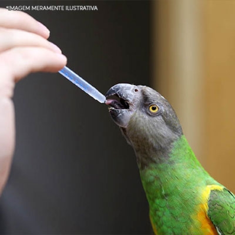 Onde Encontrar Remédio de Aves Glucosamina Alto do Pari - Remédio para Aves Same