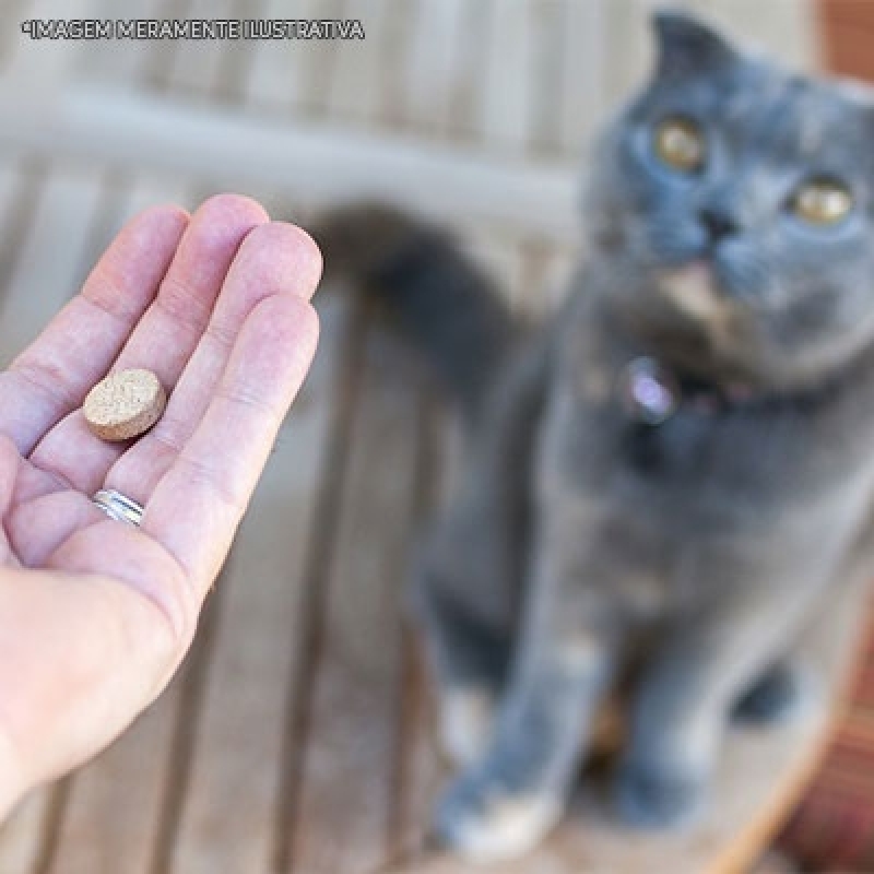Onde Encontro Remédio de Verme para Gato Parque São Domingos - Remédios para Gato Gel Antibiótico