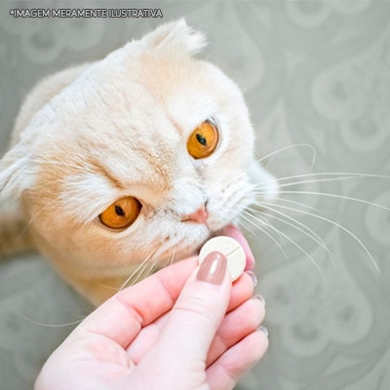 Onde Encontro Remédios para Gato Gabapentina Água Branca - Remédio de Verme para Gato