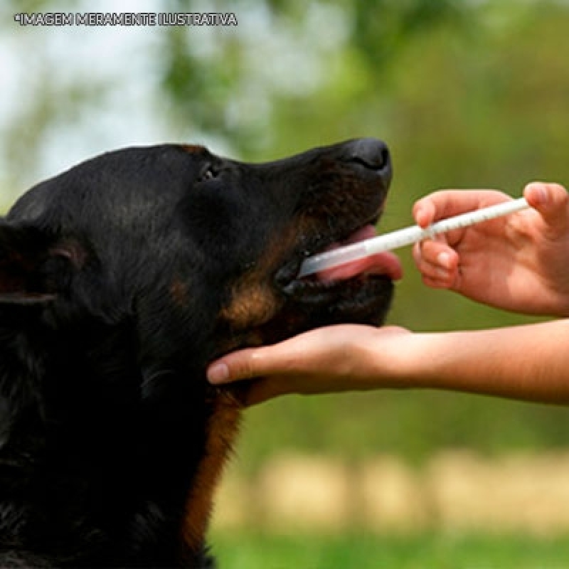 Remédio Alergia Cachorro Chácara Inglesa - Remédio de Verme para Cachorro