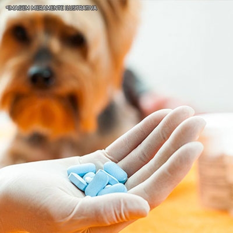 Remédio Cachorro Alergia por Dermatite Orçamento Chácara do Piqueri - Remédio de Verme de Cachorro
