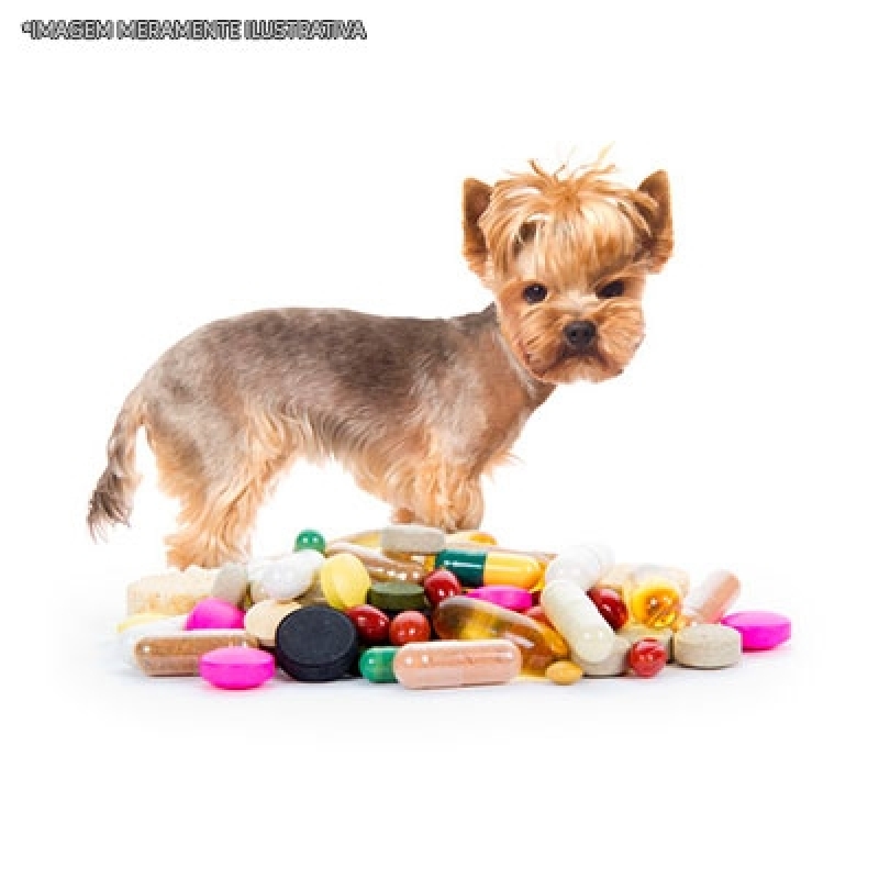Remédio de Alergia para Cachorro Jardim Londrina - Remédio de Verme Líquido para Cachorro