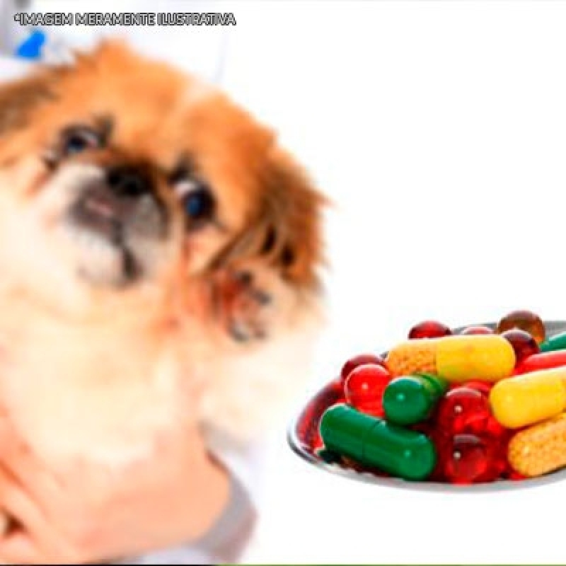 Remédio para Animal Orçamento Vila Guilherme - Remédio para Dermatite Animal