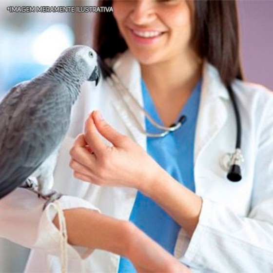 Remédios de Aves Glucosamina Mauá - Remédio de Aves