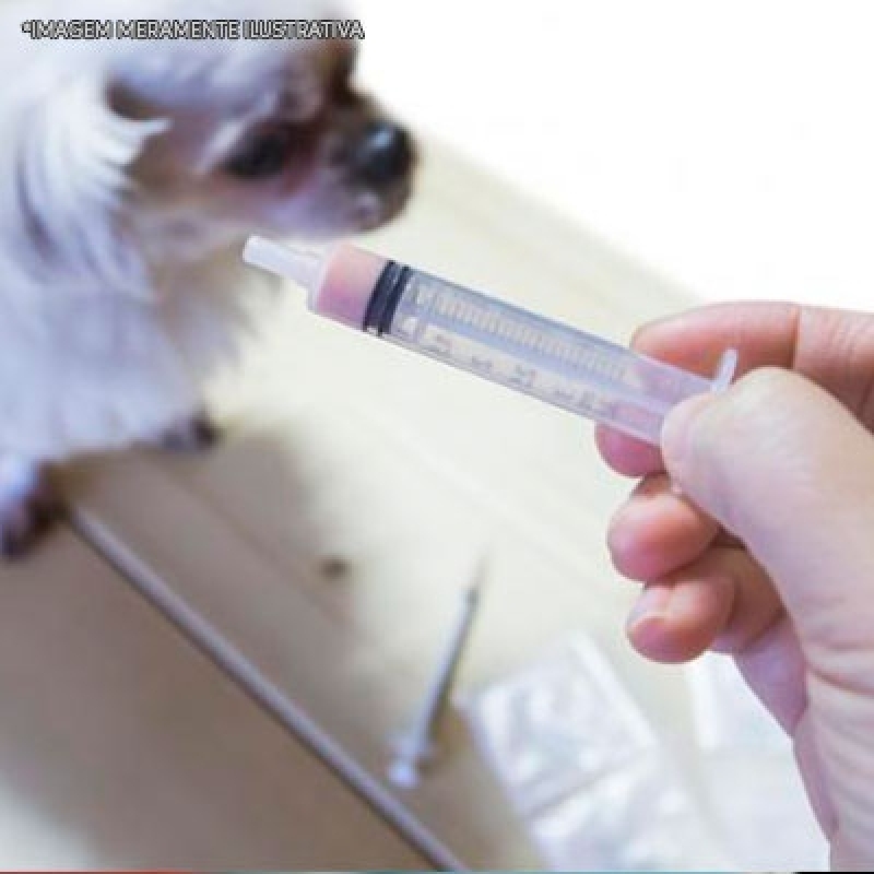 Remédios Fitoterápicos para Animais Orçamento Tremembé - Remédio para Dermatite Animal