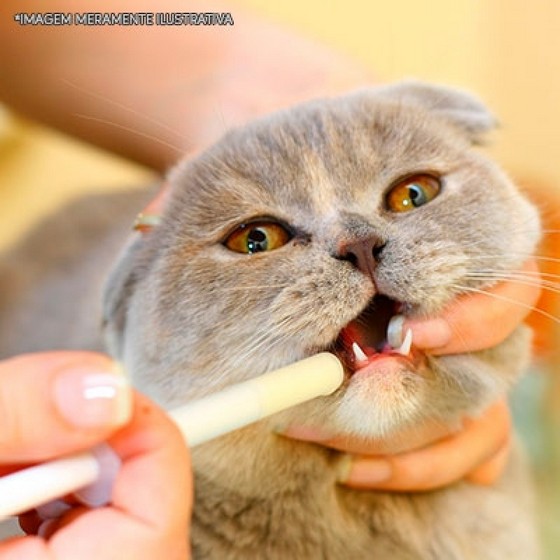 Remédios para Gato Dermatite Preço Jardim Japão - Remédios para Gato Dermatite