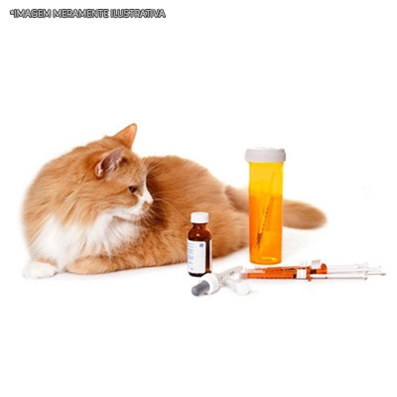 Remédios para Gato Pomada Preço Chácara Inglesa - Remédio de Gripe para Gato
