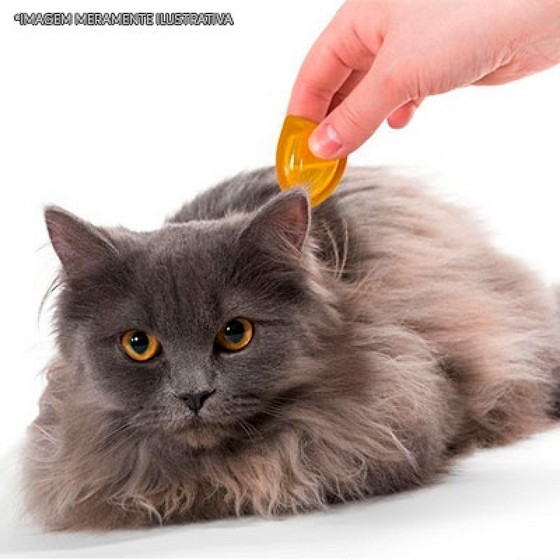 Remédios para Gato Pomada Santo André - Remédios Vermífugo para Gato