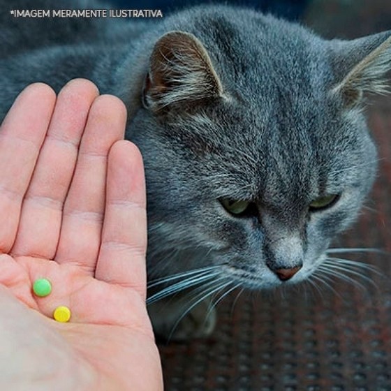Remédios para Gatos Gel Antibiótico Lauzane Paulista - Remédios para Gato Gel Antibiótico