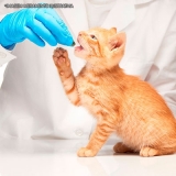 farmácia de remédio de verme para gato filhote Vila Progredior