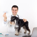 farmácia veterinária de manipulação remédio para ouvido valor Sé
