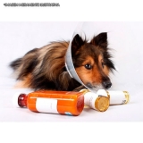 farmácias de remédio cachorro alergia por dermatite Brasilândia