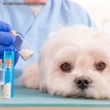 farmácias de remédio de dor pra cachorro Anália Franco