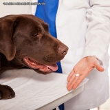 manipulação de medicamento veterinários articulação Aclimação