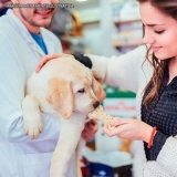manipulação de medicamentos veterinários articulação Bom Retiro