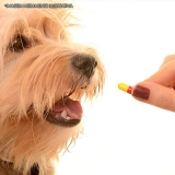 manipulação de medicamentos veterinários artrite Limão