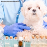 manipulação de medicamentos veterinários coprofagia Ibirapuera