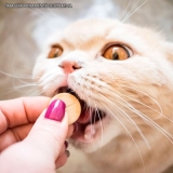 onde encontro remédios para gato gel antibiótico Parelheiros