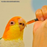 remédio de aves glucosamina Interlagos