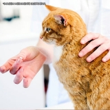 remédios para gato gel antibiótico preço Chácara Inglesa