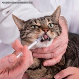 remédios vermífugo para gatos Guarujá